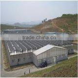 Aquaponic Systems Green Houses thumbnail-2