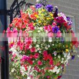 SOL 2015 Environment-friendly Hydroponics Plastic Flower Basket Hanging Flower Pots thumbnail-3