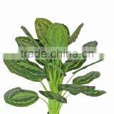 HX010471 Fake Bottle Plant thumbnail-4