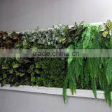Art Design Artificial Grass Plant Combination Framed Plants on Wall LGH15-17 thumbnail-6