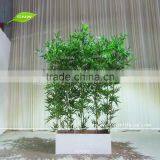 GNW BAM160928-003 High Quality Real Touch Artificial Lucky Bamboo for Indoor or Outdoor