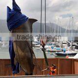 Outdoor Metal Craft Sculpture Bronze Marine Marlin for Garden thumbnail-3