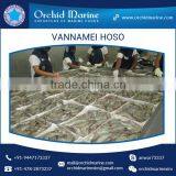 High Grade Hygienically Processed Frozen Vannamei Shrimps Price thumbnail-2