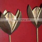 Dried Flower-Lily Flower on Stem thumbnail-1