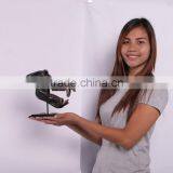 Chacma Baboon Skull on Base thumbnail-4