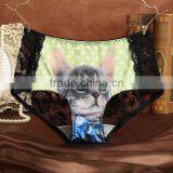 Fancy Cat Underwear Low Waist Sexy Women Panties thumbnail-2