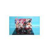 Acrylic Eyeglasses Display Stand