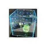 LED Glass Display Box thumbnail-1