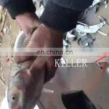 Fish Descaler | Automatic Fish Fillet Machine | Fish Killing Gutting Cleaning Machine thumbnail-1