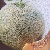 YiNong company overview - view 1 thumbnail