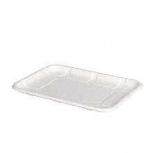Eco Friendly Factory Direct Bagasse Rectangle Tray Disposable Tableware Multi-use Serving Platter Food Tray thumbnail-2