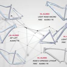 Aluminium Alloy frame with TIG welding bicycle frame