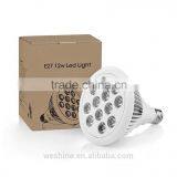 2016 New 12W E27 Par38 Red Blue LED Grow Light Bulb LED Plant Grow Light, E27 12w Indoor Garden Hydroponic Plant Grow Led Light thumbnail-5
