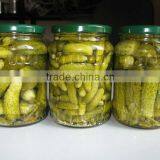Competitive Price Pickled Cucumber thumbnail-1