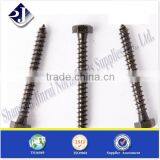 China Supplier Top Quality Hex Head Wood Screw