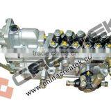 Sinotruk Howo Truck High Pressure Oil Pump With Ktype Governor