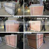 Exporting Auto Feeding Laser Cutting Machine With 80w Laser Tube thumbnail-5