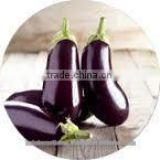 Wholesale Clean Fresh Eggplant made in Viet Nam