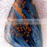 Petersite Cabochon; Loose Gemstones ; Semi Precious Gemstones , Natural Gemstones thumbnail-1