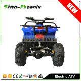Adult 48V Electric Quad Bike of 500W or 750W (PE7018-H )