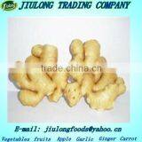 Fresh Ginger Largest Exporters China thumbnail-1