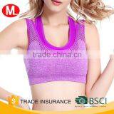 Wholesale Hot Sexy Breathable Women Activewear Seamless Genie Sports thumbnail-6