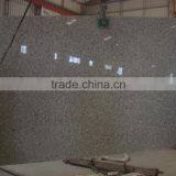 Natural G439 Granite Slab