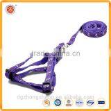 Custom Design Canvas Fabric Nylon Pet Collars and Leash Set With High Quality thumbnail-3