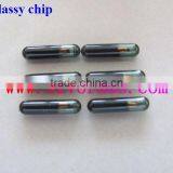 T5 Glassy Chip/transponder Chip