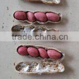 2014 New Crop Red Skin Peanut Kernels, Red Skin Four Grain Peanuts 40/50,50/60 thumbnail-2