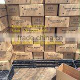 Export Fresh Sweet Potato Bulk thumbnail-5