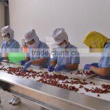 Dried Fruits(dried Strawberry/kiwi/apple/cantaloupe/mandarin Orange thumbnail-5