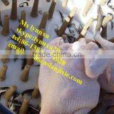 Bird Chicken Plucking Machine /A Model Chicken Depilator Machine thumbnail-5