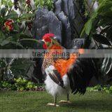 Dance Plush Chicken Toy for Garden Decoration thumbnail-4