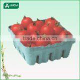 Hot Selling Factory Directly Wholesale Dry Fruit Decoration Tray