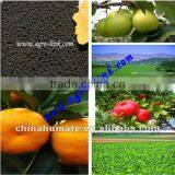 Pellet Boron (BHA) Humate Organic Fertilizer