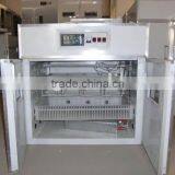 Incubators Specially for 12 Ostrich Eggs