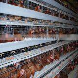 Express Used Poultry Equipment for Sale thumbnail-5
