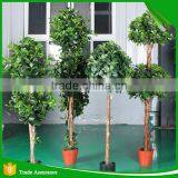 Mini Bonsai Artificial Ficus Ball Tree thumbnail-1