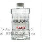 Автоматическая машина для наполнения больших бутылок из ПЭТ чистой водой. Цена машины для розлива бутылок thumbnail-5