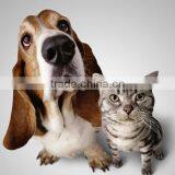 Dry Type Animal Food Pellet Making Machine thumbnail-6