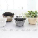 Decorative Plastic Ceramic Hanging Flower Pots thumbnail-3