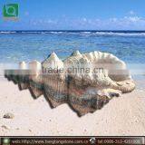 Large Marble Trumpet Shell, Garden Sea Shell Sculpture thumbnail-1