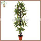 Artificial Wide Leaf Plant for Export Sale thumbnail-1