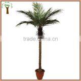Hot Sale Artificial Phoenix Palm Tree Manufacturer thumbnail-1
