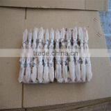 Frozen Baby Loligo Squid thumbnail-3