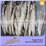 Best Selling Double Clean Bonito Fresh Tuna Loin With Prices thumbnail-1