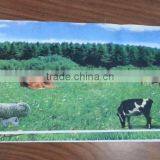 Heat Transfer Printing Indoor Banner thumbnail-4