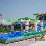 High Quality and Cheap Coconut Palm Water Slide With Pool WS049