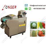 Multifunctional Vegetable Cutting Machine|Cabbage cutter